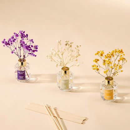 Airkeep Aroma Trio image 6