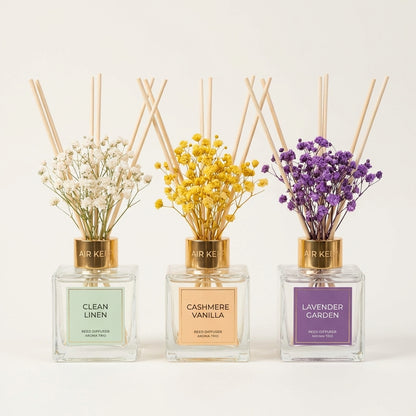 Airkeep Aroma Trio image 1